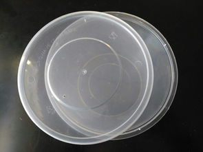 环保与便捷的完美结合 一次性打包盒厂家直销探析